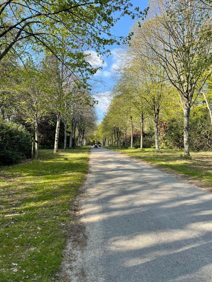 Mobilhome Tout Confort M9 Domaine De Lanniron Quimper Eksteriør billede